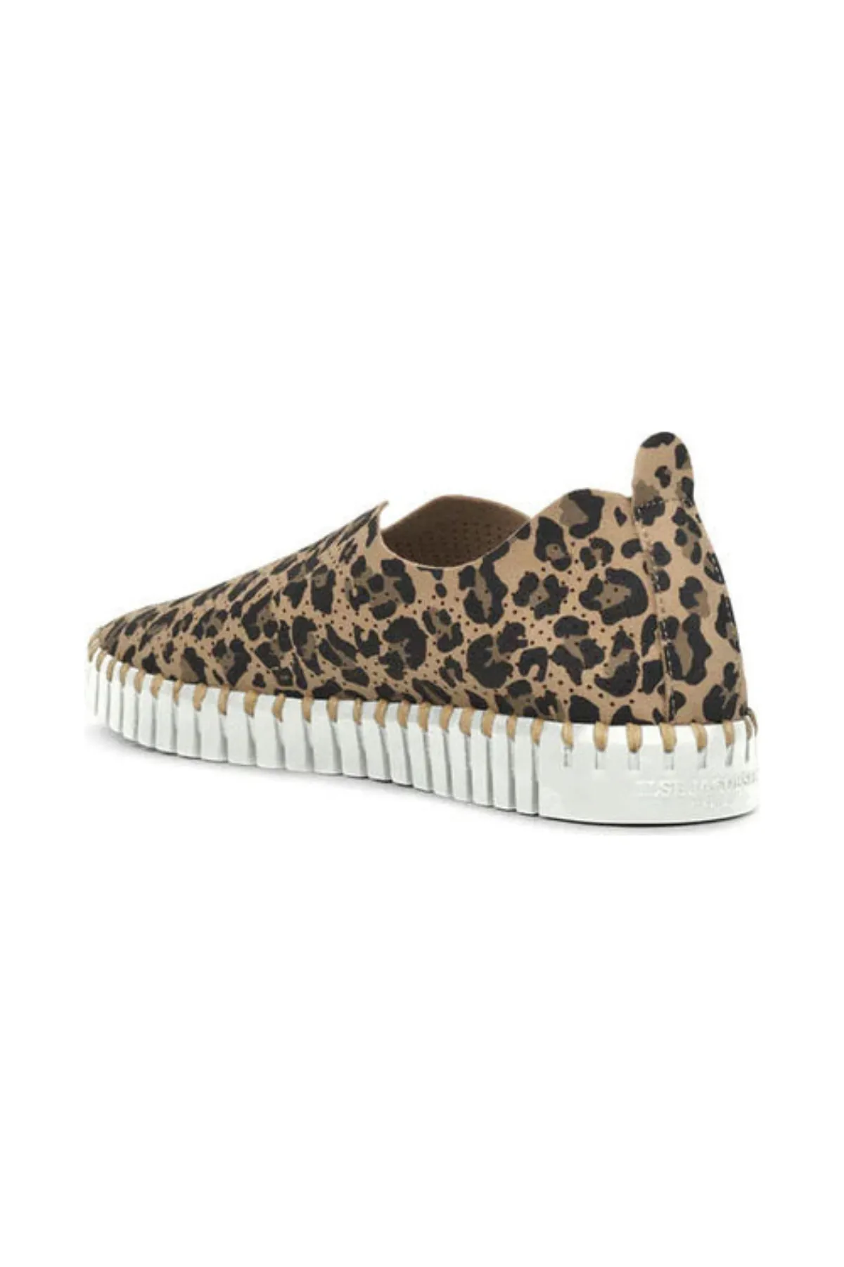 Tulip Sneaker - Leopard